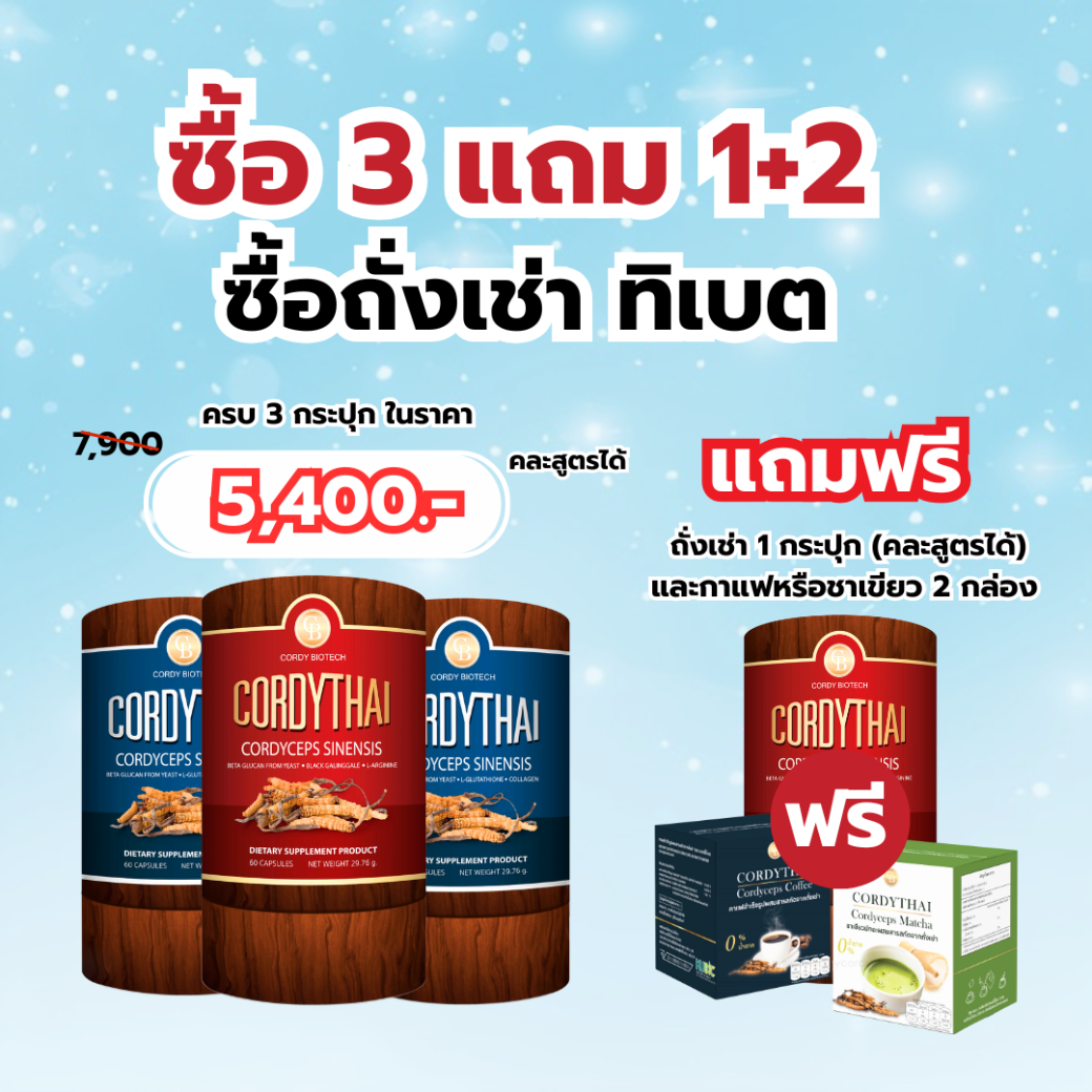 popwellkhaydee.com – 2025-09-01T135545.011